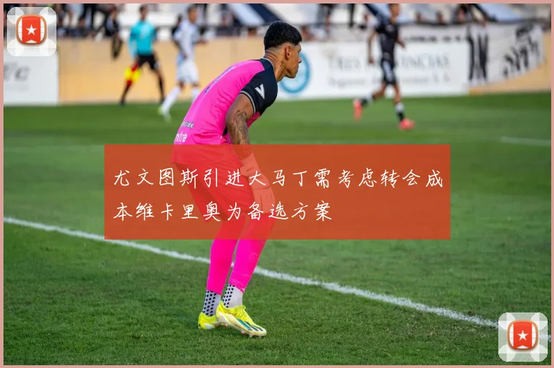 尤文图斯引进大马丁需考虑转会成本维卡里奥为备选方案
