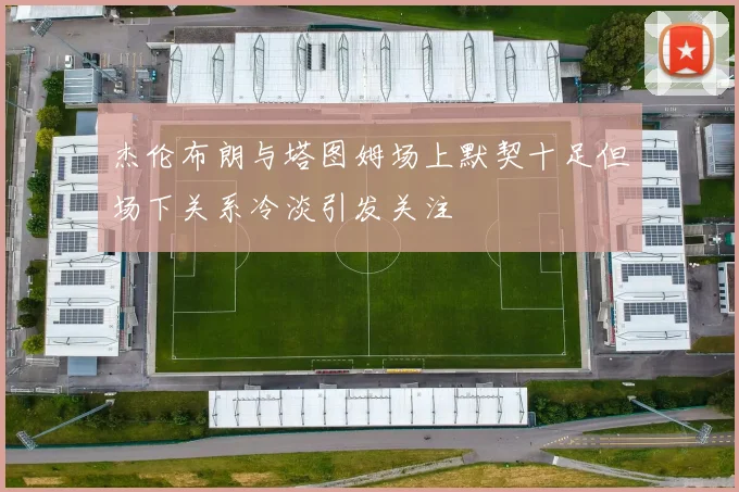 杰伦布朗与塔图姆场上默契十足但场下关系冷淡引发关注